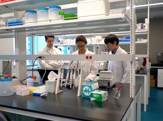 Laboratory From Video